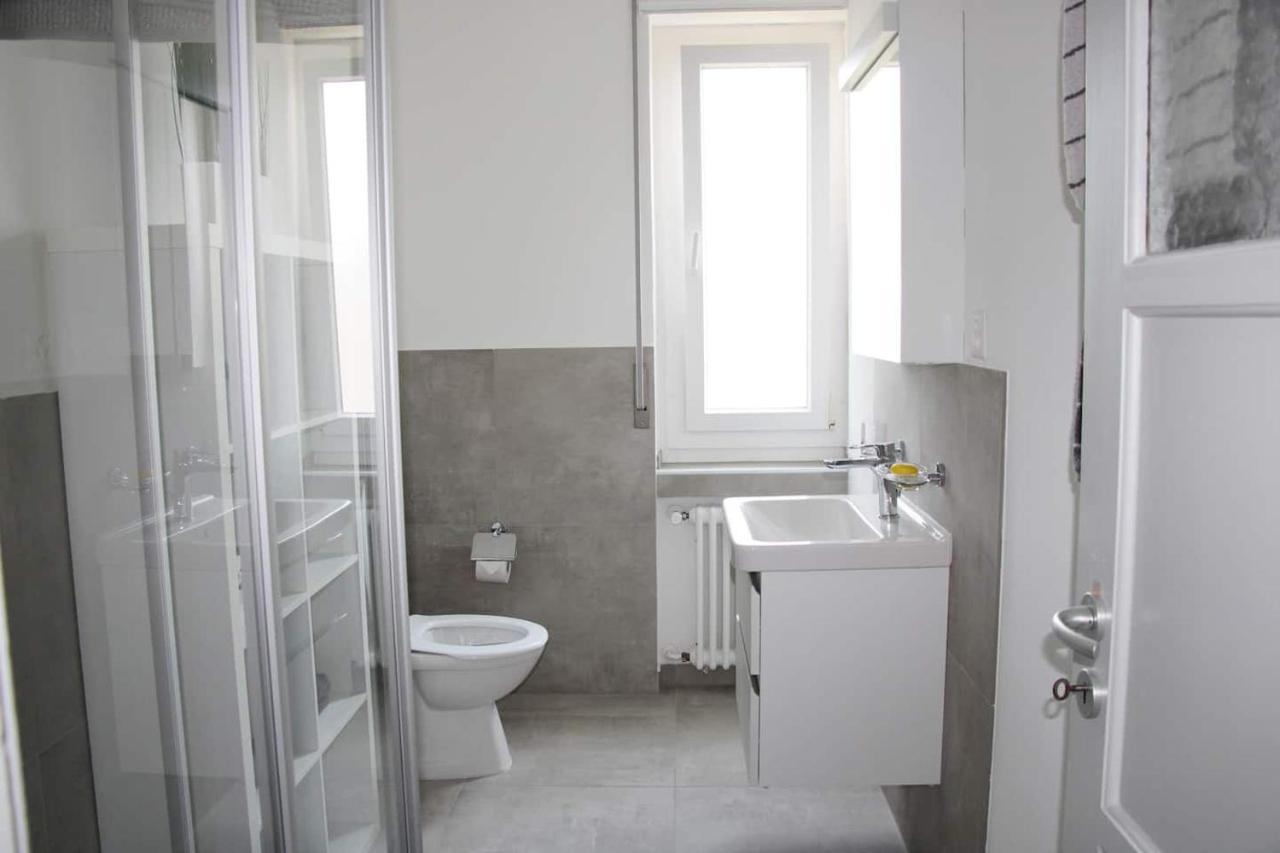New & Modern Apartment With Beautiful Lake View! ลูกาโน ภายนอก รูปภาพ