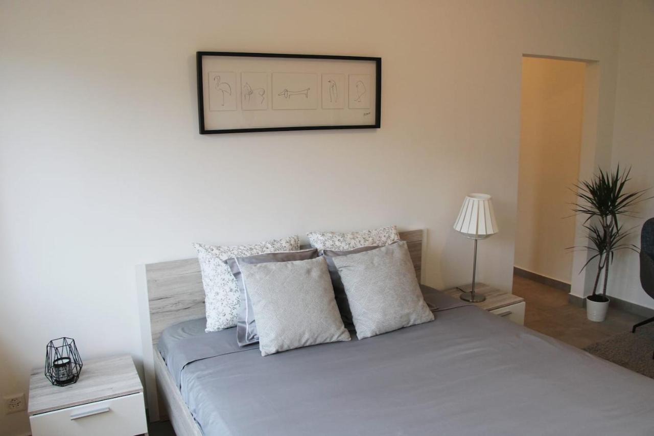 New & Modern Apartment With Beautiful Lake View! ลูกาโน ภายนอก รูปภาพ